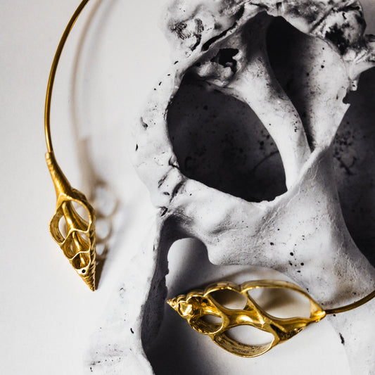 Shell Skeleton Open Collar