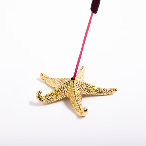 Starfish incense holder