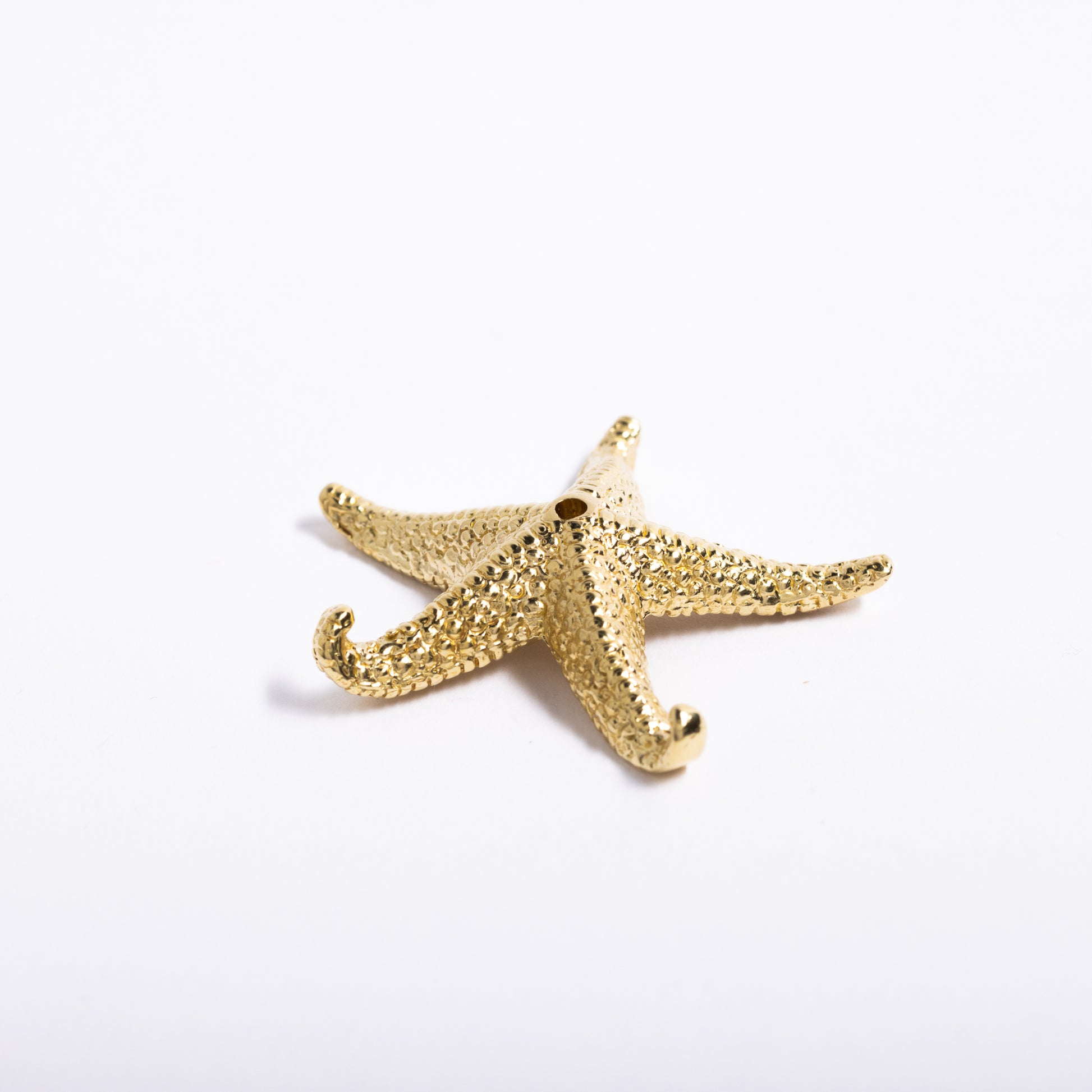 Starfish Incense Holder