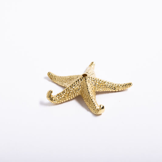 Starfish Incense Holder