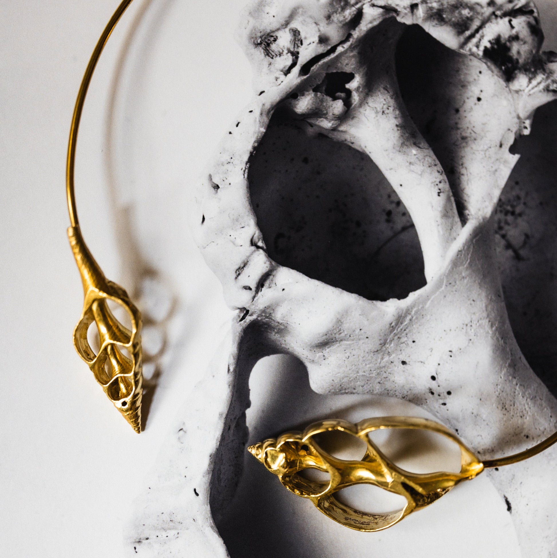 Shell Skeleton Open Collar