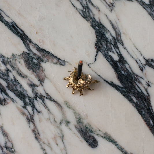 Shell Curiosity Incense Holder