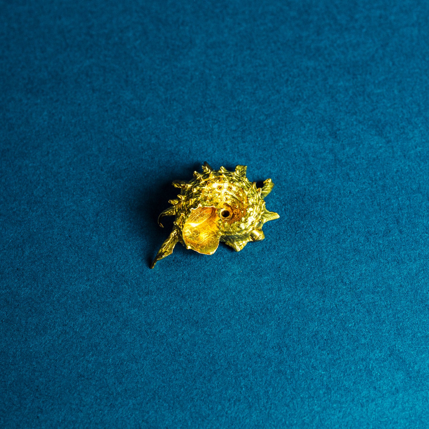 Shell Curiosity Incense Holder