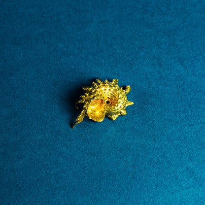 Shell Curiosity Incense Holder