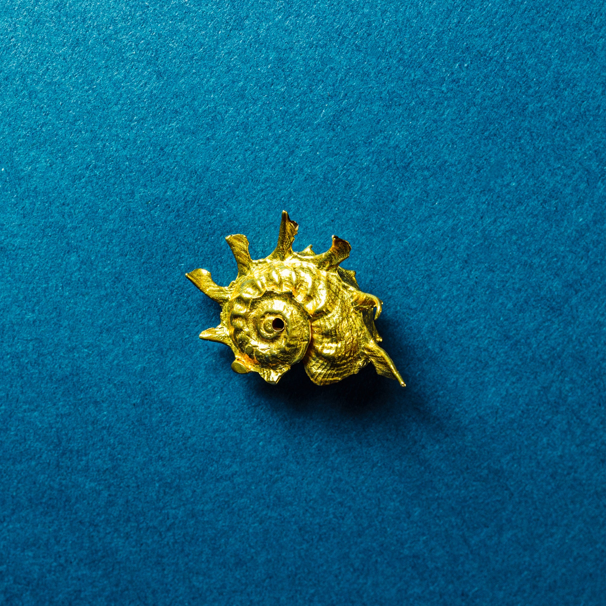 Shell Curiosity Incense Holder