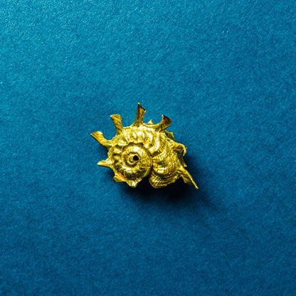 Shell Curiosity Incense Holder