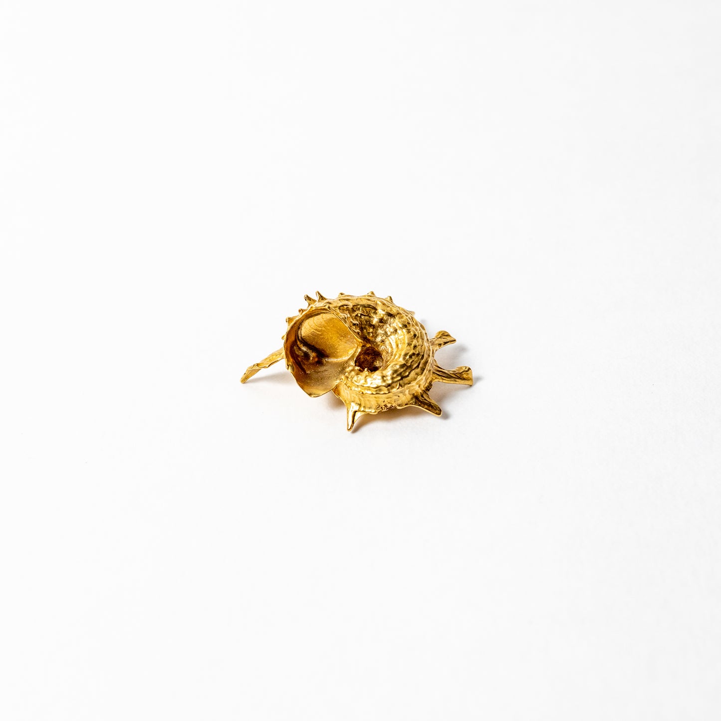 Shell Curiosity Incense Holder