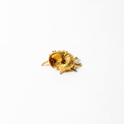 Shell Curiosity Incense Holder