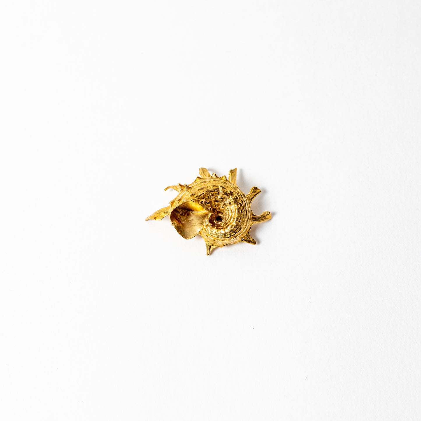 Shell Curiosity Incense Holder