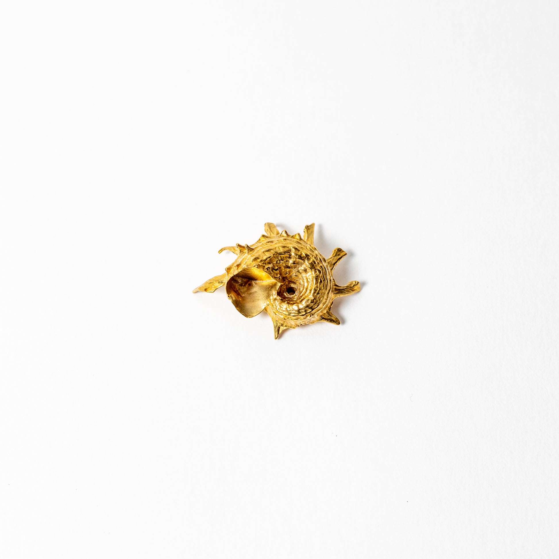 Shell Curiosity Incense Holder