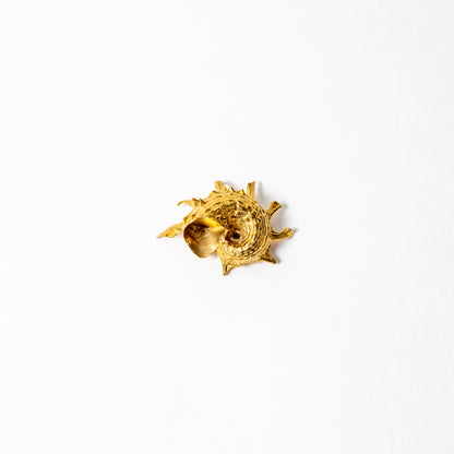 Shell Curiosity Incense Holder