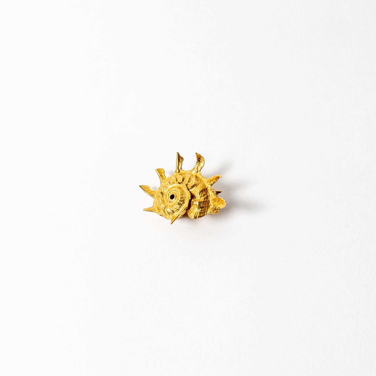 Shell Curiosity Incense Holder