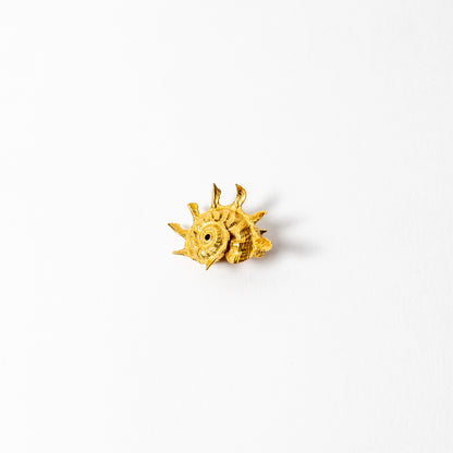Shell Curiosity Incense Holder