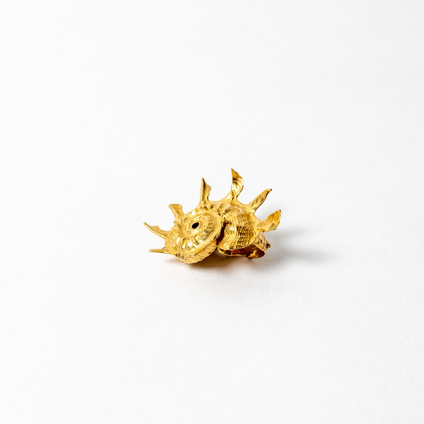 Shell Curiosity Incense Holder
